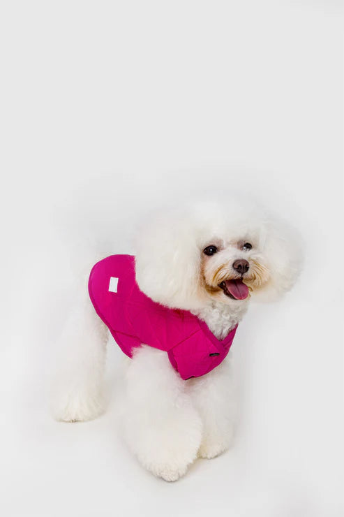 PAWLORAK  Over Glam | Sleeveless Diamond Lattice Jacket