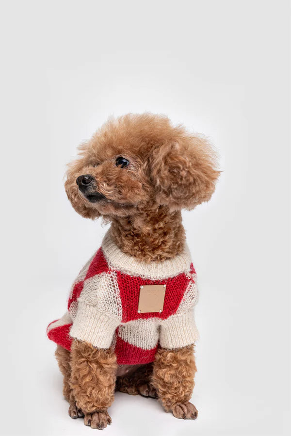 PAWLORAK  Mono Square Thin Knitwear - Cats and Dogs