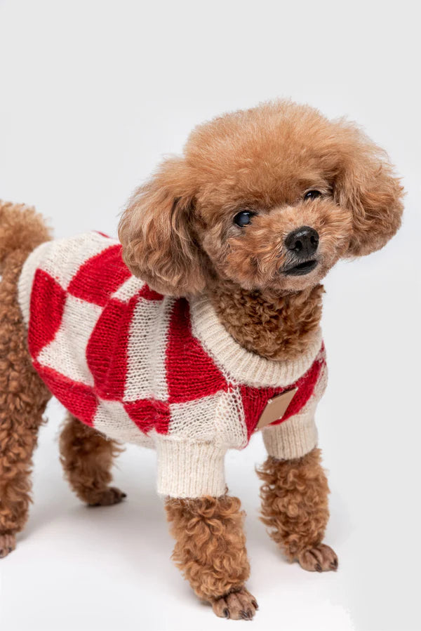 PAWLORAK  Mono Square Thin Knitwear - Cats and Dogs