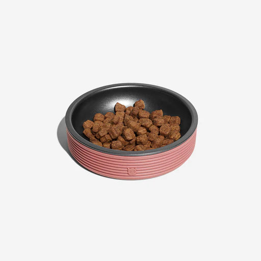 PAWLORAK  Terracotta