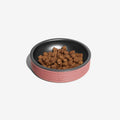 PAWLORAK  Terracotta